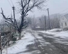 Зима проснулась: Одесскую область неожиданно засыпало снегом, появились фото