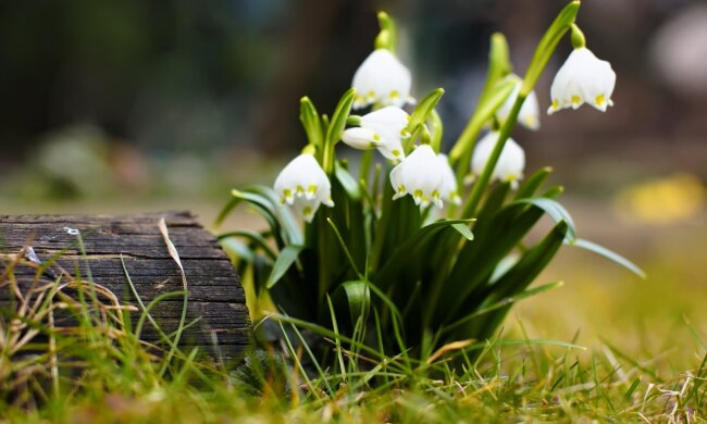 погода в Украине