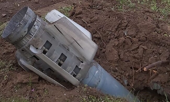 Оккупанты выпустили снаряды по зоопраку в Николаеве: появились кадры