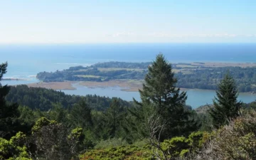 bolynas_laguna