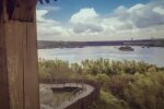 Самый точный прогноз погоды в Запорожье с 8 по 15 августа.