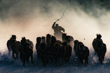 The Winter in Inner Mongolia is very unforgiving. At a freezing temperature of minus twenty and lower with constant breeze of snow from all direction, it was pretty hard to convince myself to get out of the car and take photos. Not until I saw Inner Mongolia horsemen showing off their skills in commanding the steed from a distance, I quickly grab my telephoto lens and capture the moment when one of the horseman charged out from morning mist .