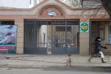 Переполох в зоопарке Одессы, сбежал знаменитый питомец: видео с места событий