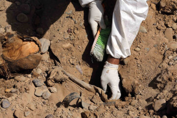 захоронение раскопки