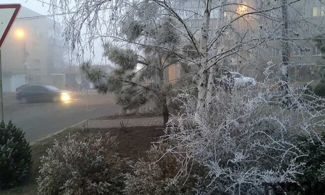 Замерзлий туман прикрасив Одеську область: "Срібна казка"