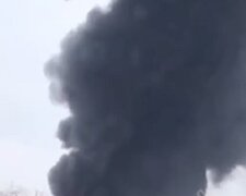 Огонь уже выше деревьев: под Киевом полыхает сильный пожар