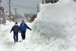 снег зима