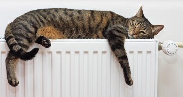 счетчики тепла в квартире в доме с вертикальной разводкой, кот, батарея, отопление