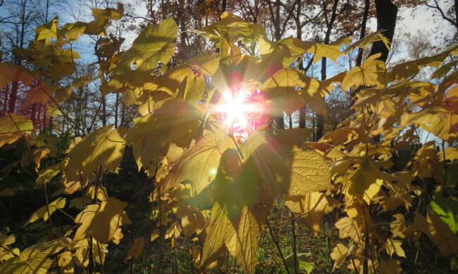 погода, осень