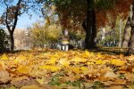 Прогноз погоди на тиждень з 13 по 19 жовтня в Одесі