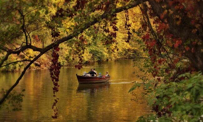 фото-Олександр-Лаврський