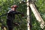 Графіки відключення світла у Миколаївській області 