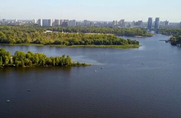 "Коктейль зі всієї таблиці Менделєєва": істоти заполонили річку Дніпро