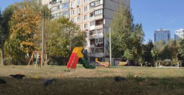 В Харькове октябрь побил многолетний температурный рекорд: "Последний раз такое было в..."