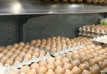Подорожание яиц в Харьковской области