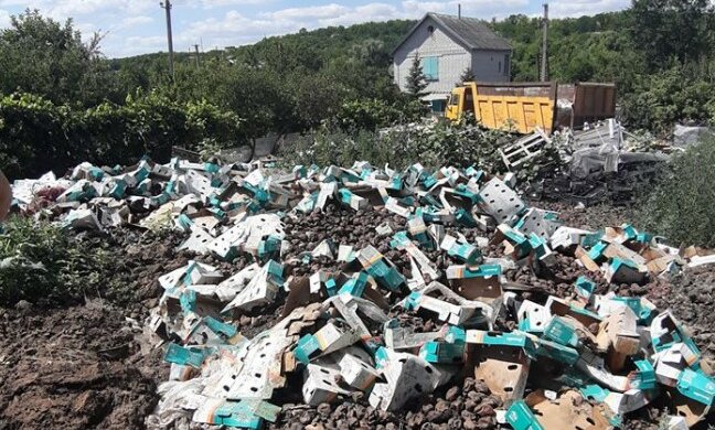 Житель Дніпра загадил вулицю тоннами сміття, фото: "Страшенний сморід"