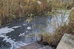 Госэкоинспекция добилась справедливости: суд обязал "Полтававодоканал" заплатить 1,2 млн гривен за загрязнение реки Орчик