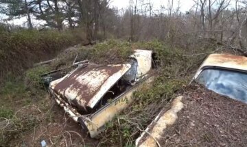 Держекоінспекція притягує до відповідальності недобросовісних підприємців: направлено позов на три мільйони гривень