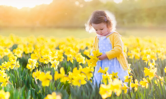 Погода в Украине 5 апреля