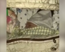 Чоловік вигнав українку з 2-місячною дитиною на вулицю, відео: ночують на манежі