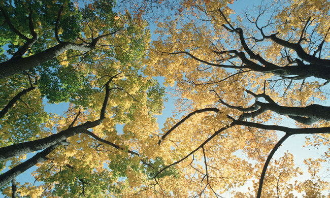 бабье лето, осень