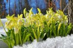 погода в Украине