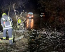 Непогода ворвалась на Днепропетровщину, появились кадры: заблокированные жители, деревья на авто и ледяной трэш