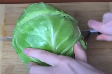 молода капуста