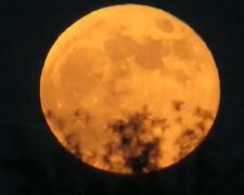 Над Украиной взошла "красная" луна, кадры уникального явления: "Бывает раз в 6-12 лет"