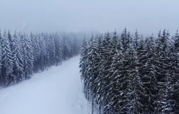 Під кінець березня в Україну раптово повернулася зима, кадри стихії: "До 20 см снігу, - 11 градусів..."