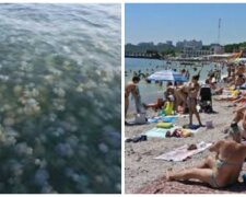 "Жалять обличчя": медузи заполонили узбережжя на популярному українському курорті, кадри напасті