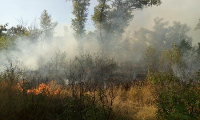 Масштабний вогонь розгорівся на Трухановому острові, з'їхалися рятувальники: кадри НП