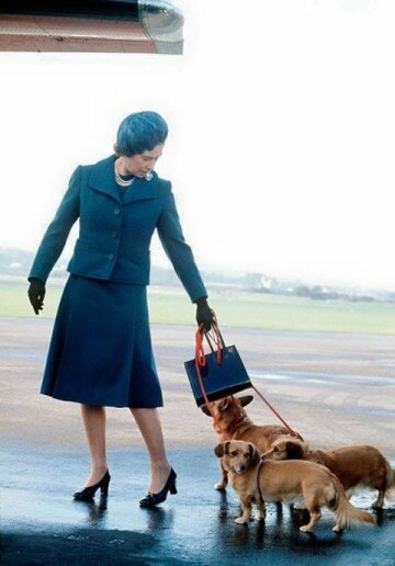 1974 год - королева ведет к самолету своих любимых корги 