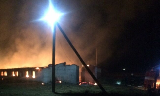 "Ущерб примерно 2 млн грн": в Харьковской области орудуют наглые поджигатели, подробности