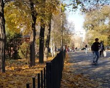 Прогноз погоди на тиждень з 13 по 19 жовтня у Кривому Розі