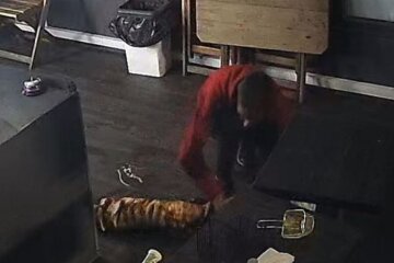 Похитили из кафе мясо для шаурмы - получили 8 лет: "ограбление года" произошло в Киеве, фото