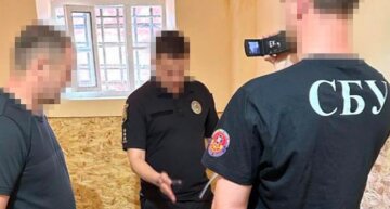 Одесский депутат с женой нанесли ущерб на десятки миллионов: что известно о преступлении