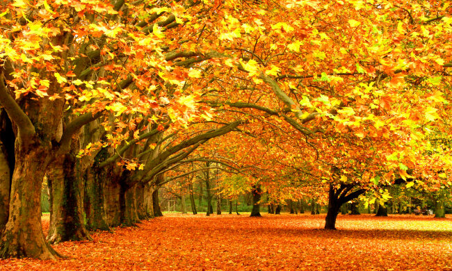 Осень, хорошая погода,