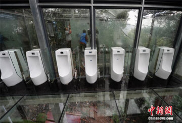В Китае открылся прозрачный туалет: смотрят, но не пользуются (фото)