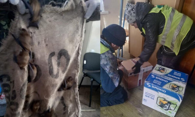 У Кривому Розі розгорнули справжню спецоперацію: кинуті сили на порятунок 40 тварин