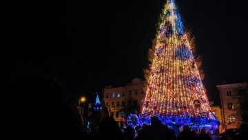 "Неуместно": города Украины начинают отказываться от новогодних елок, Киев может быть в их числе