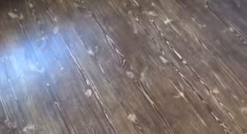 пол