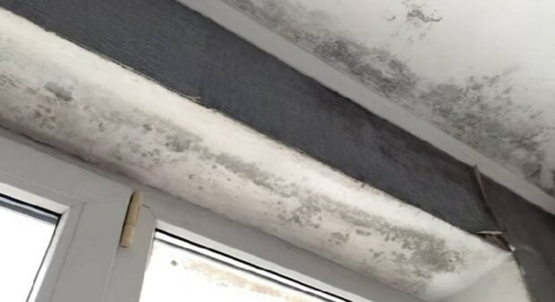 ����: politeka.net