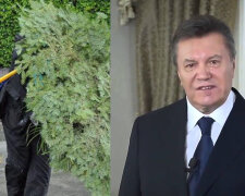 "Від атаки яйцем до "Астанавитесь": відео найбезглуздіших конфузів Януковича