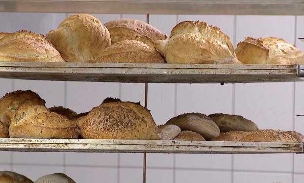  ������� ����� �������������� ������� ������� ������������ ������� �������� 