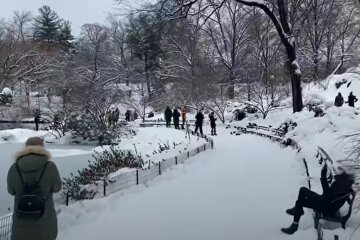 зима, люди, погода