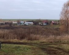 Полчища мерзенних істот атакували Харківську область: з'явилася термінова заява