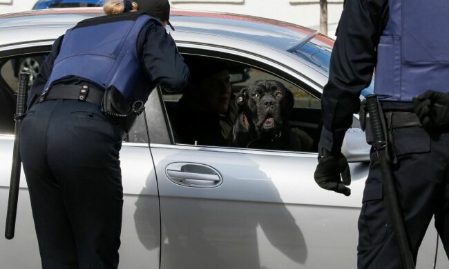 На українських водіїв чекають кардинальні зміни: деталі нової ініціативи