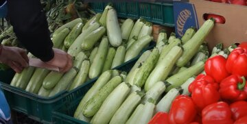 Ціни на кабачки в Україні