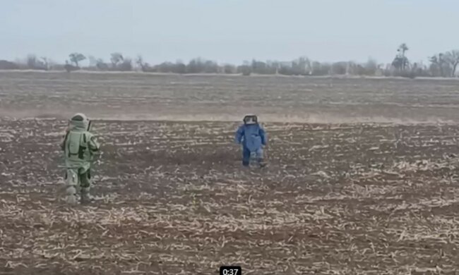 "Становлять реальну загрозу": на Запоріжжі рятувальники продовжують зачистку земель від вибухонебезпечних предметів